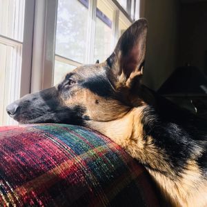 Meet your Posher, Patsy